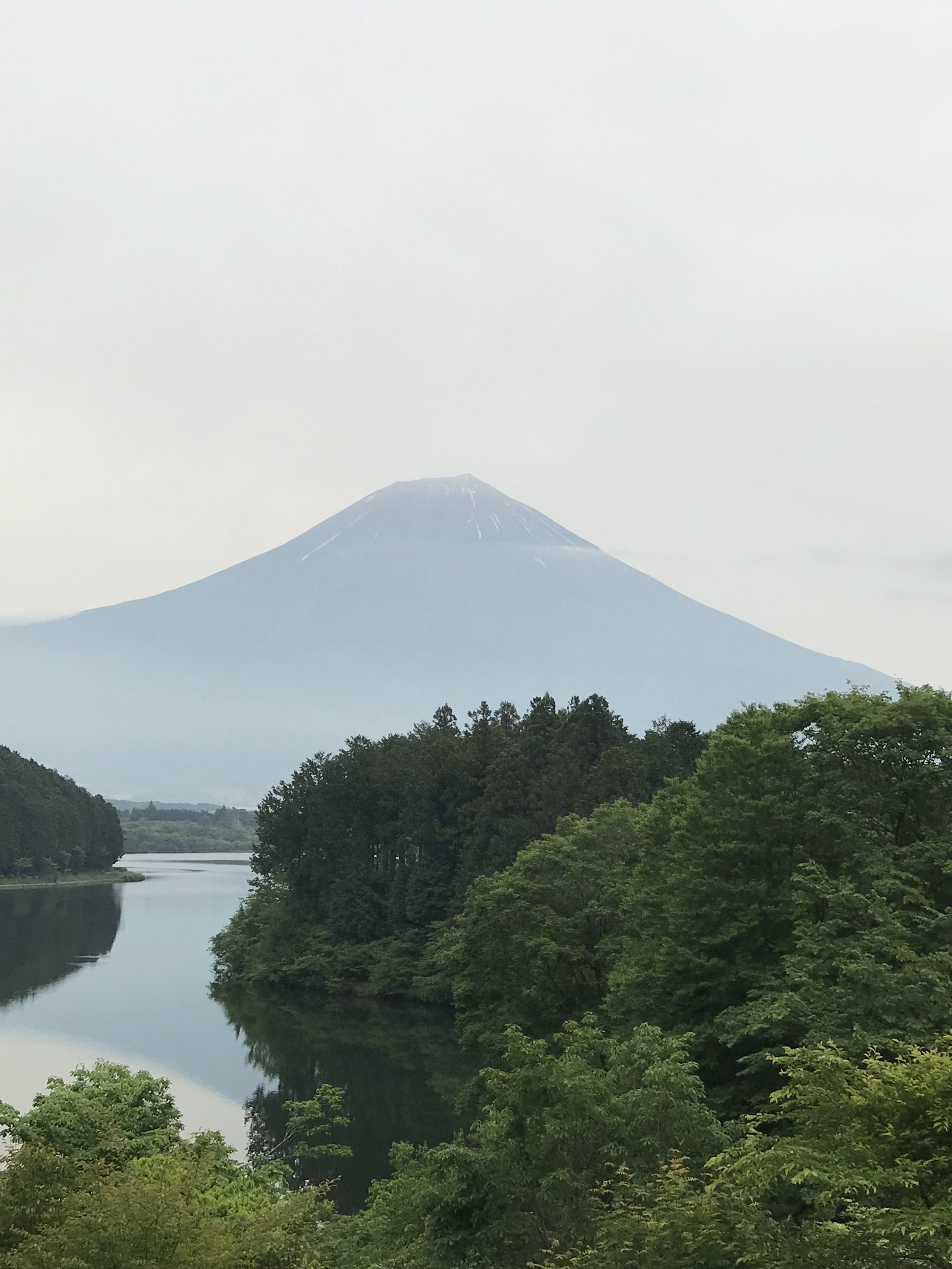 休暇村富士から見える富士山